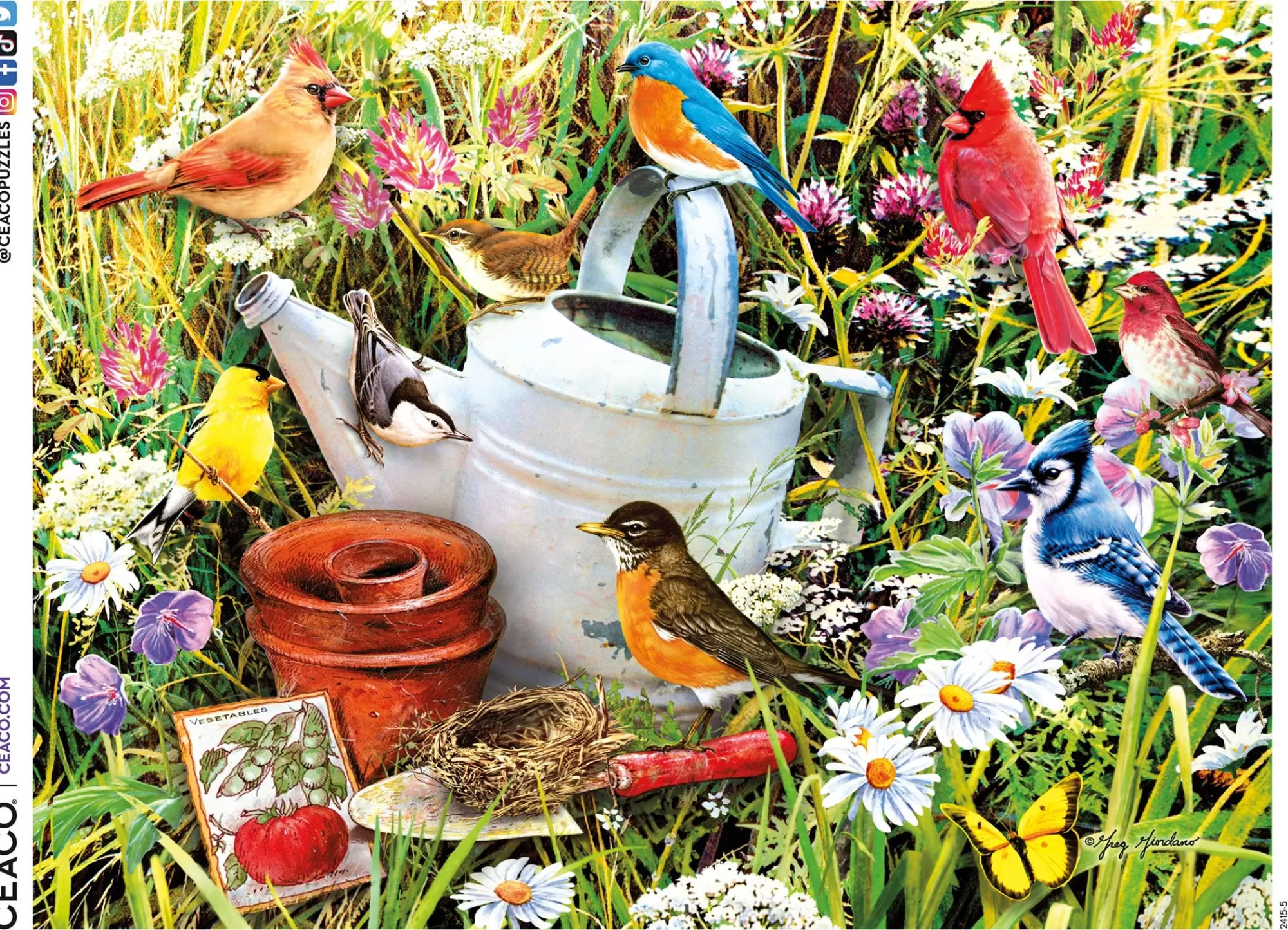 Ceaco 500 Piece Puzzle - Garden Birds* Animal Puzzles