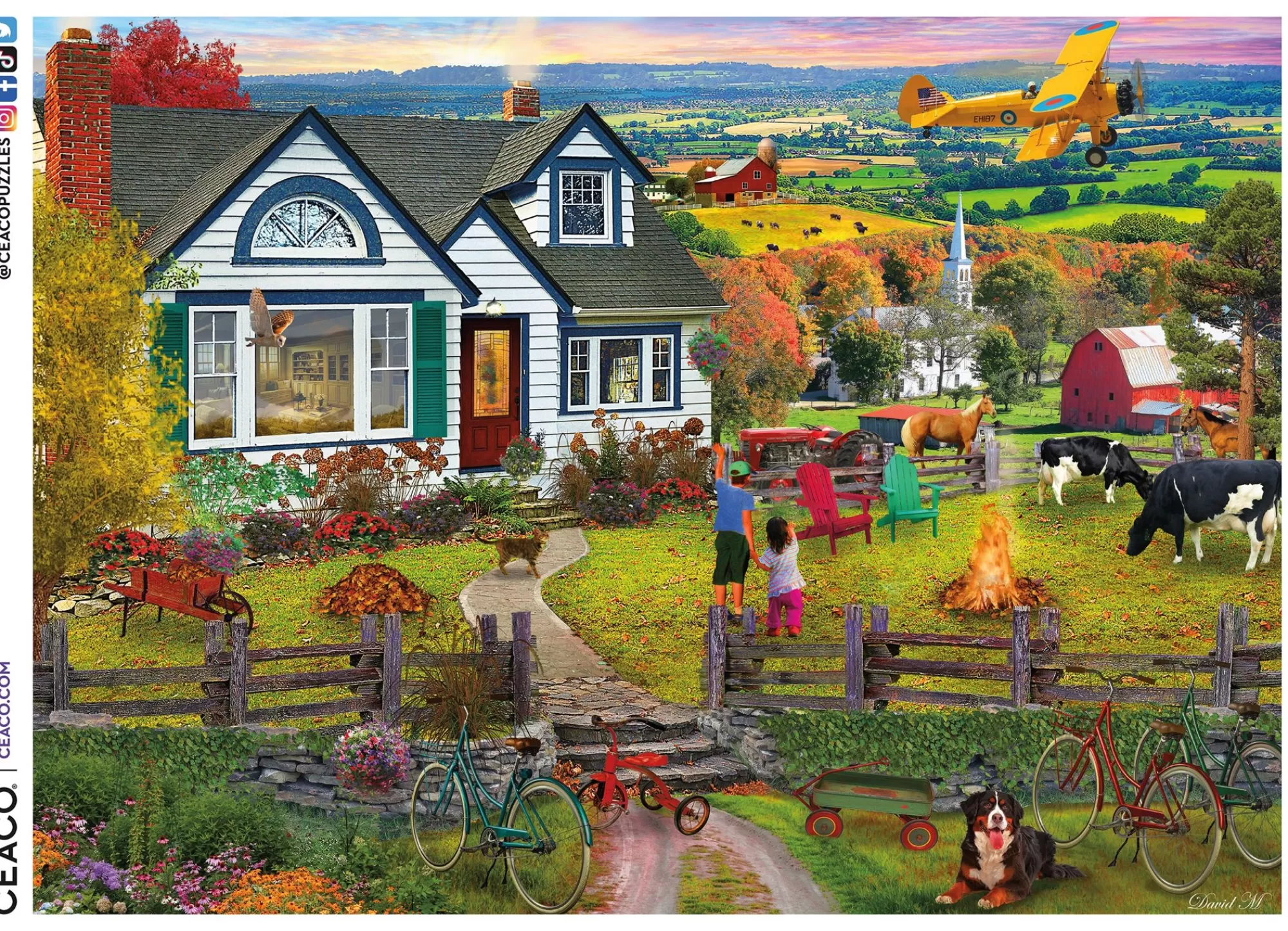 Ceaco David Maclean - The Fly By- 1000 Piece Puzzle* Landscapes