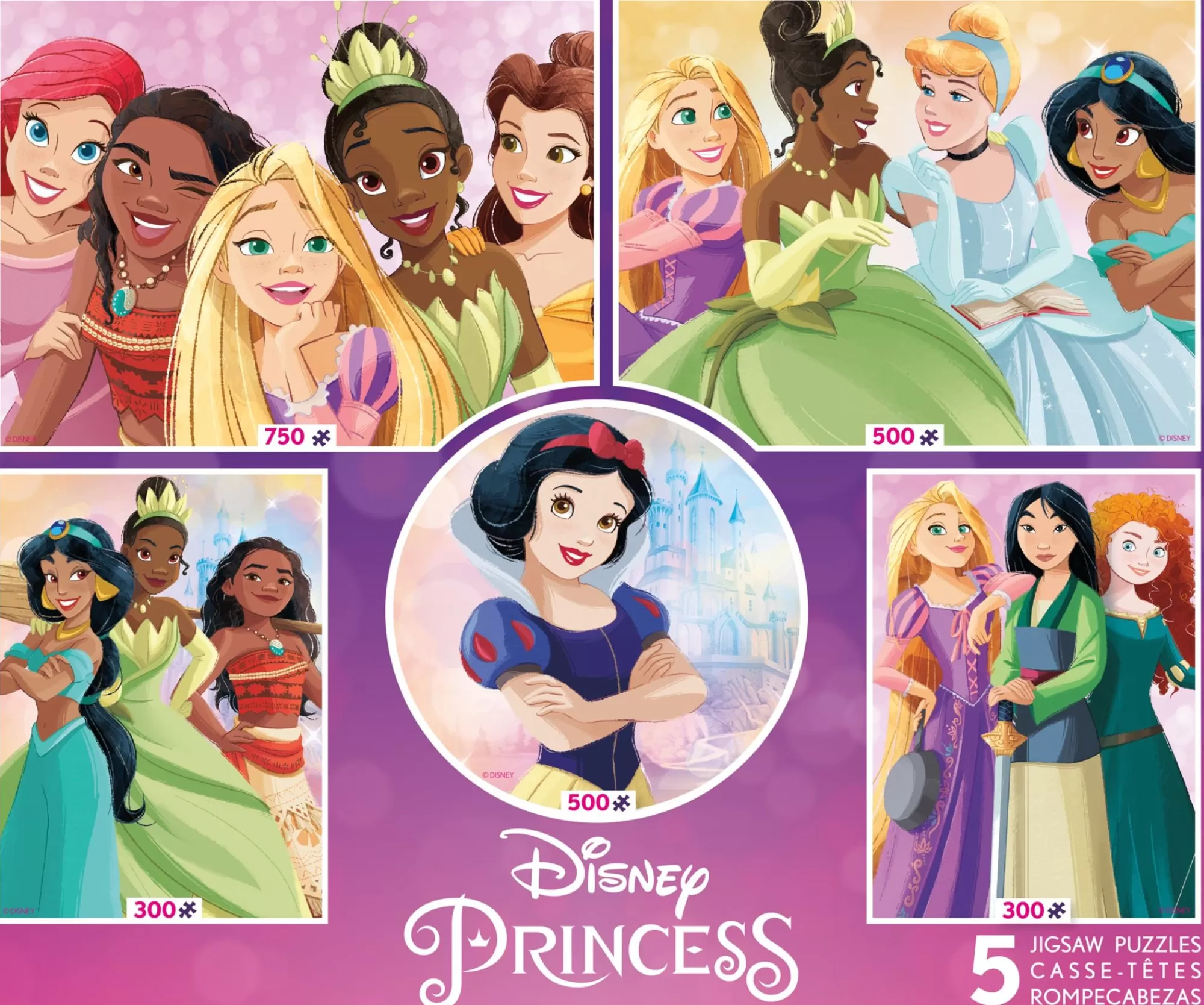 Ceaco Disney - Princess - 5 In 1 Multipack* Disney Puzzles