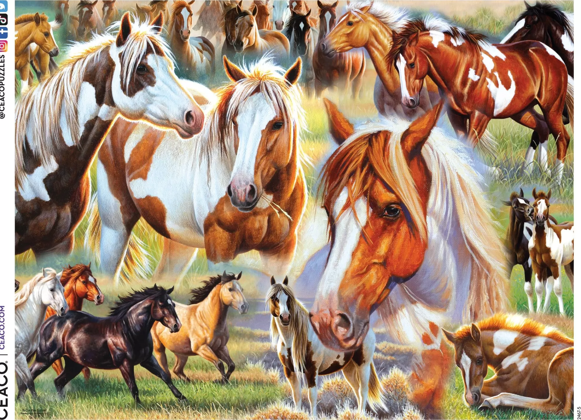 Ceaco Horses - Horse Collage - 500 Piece Puzzle* Animal Puzzles