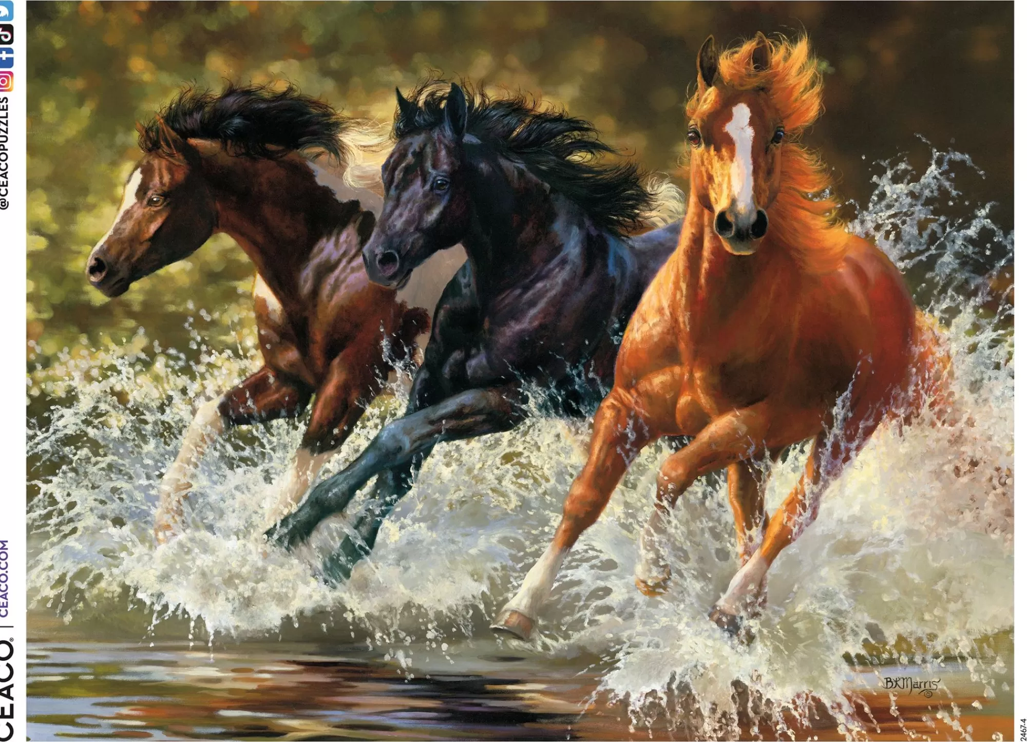 Ceaco Horses - Splash - 500 Piece Puzzle* Animal Puzzles