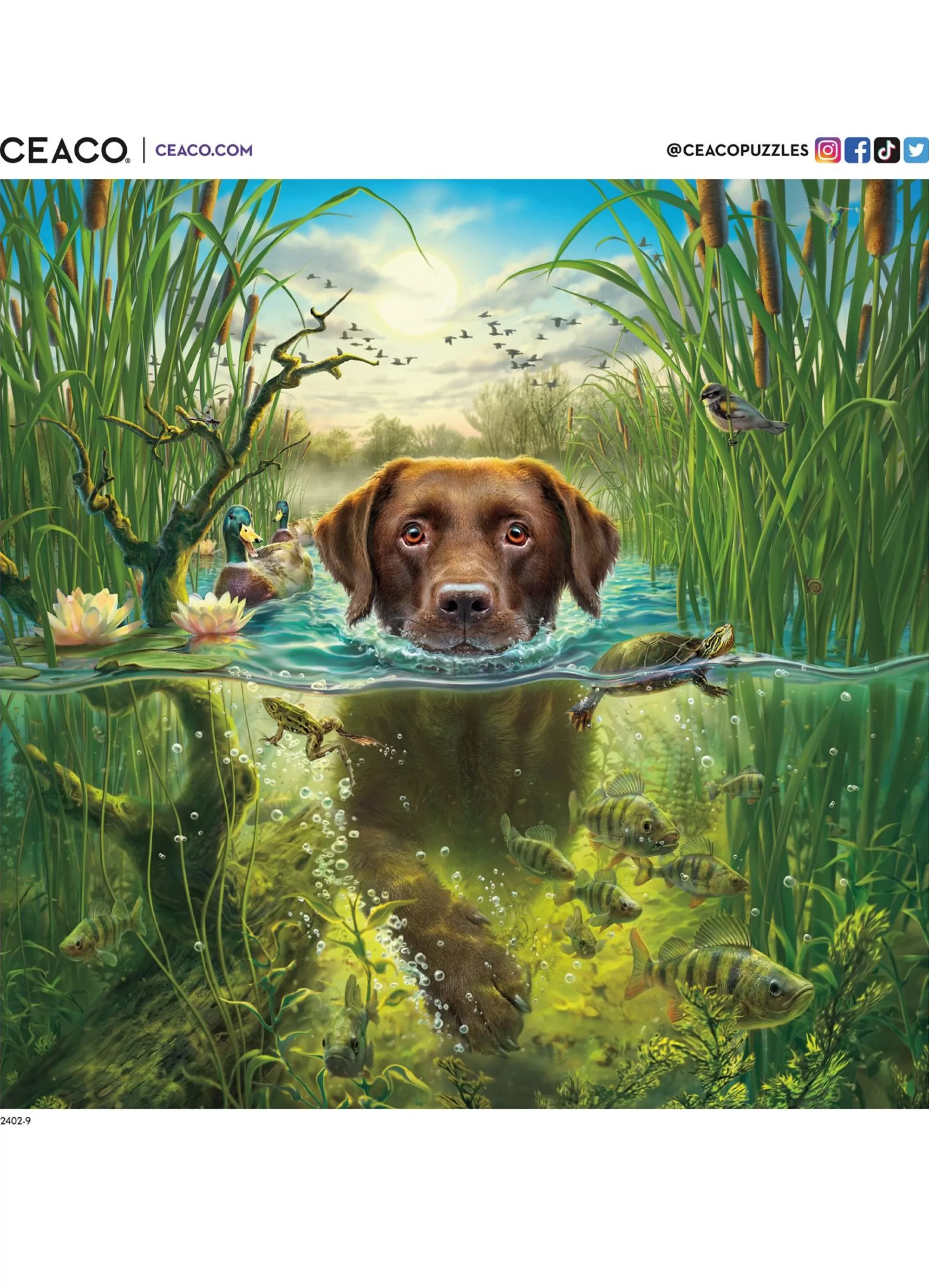 Ceaco Mark Fredrickson - Chocolate Lab 2 - 500 Piece Puzzle* Animal Puzzles