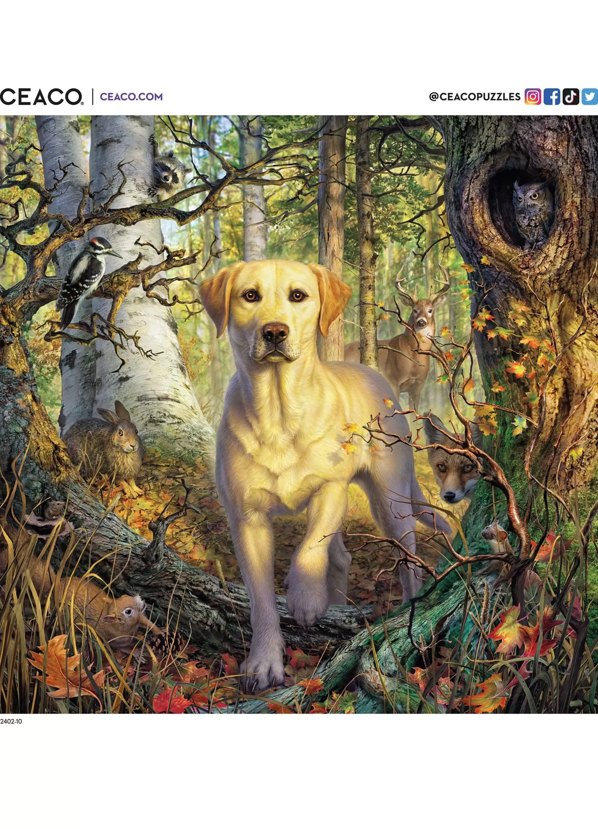 Ceaco Mark Fredrickson - Yellow Lab 2 - 500 Piece Puzzle* Animal Puzzles