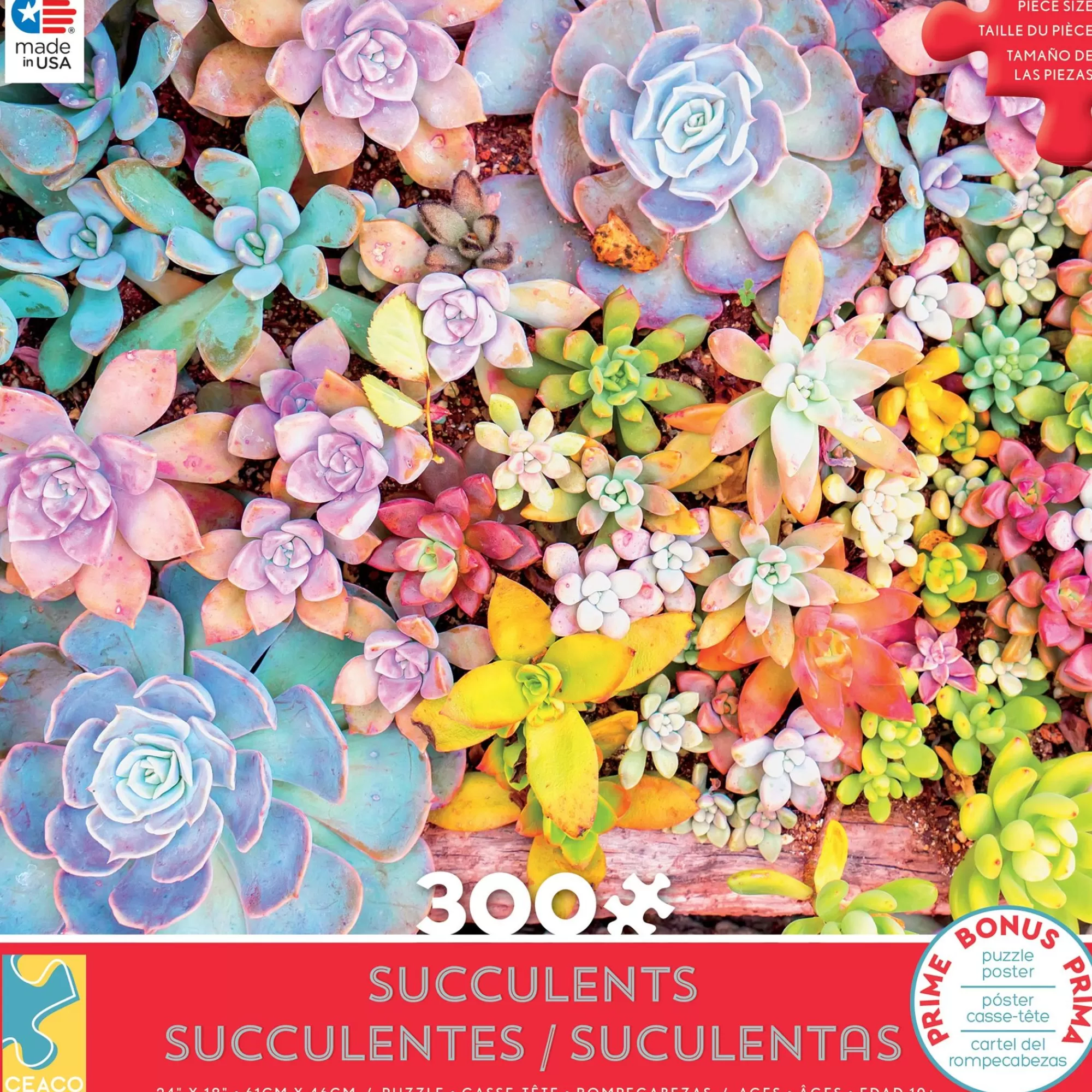 Ceaco Succulents - Pretty Pastels - 300 Piece Puzzle* Flowers Puzzles