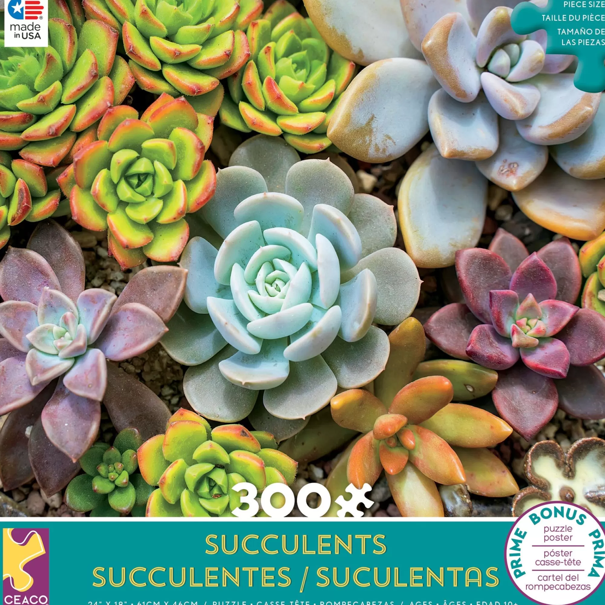 Ceaco Succulents - Rosette - 300 Piece Puzzle* Flowers Puzzles