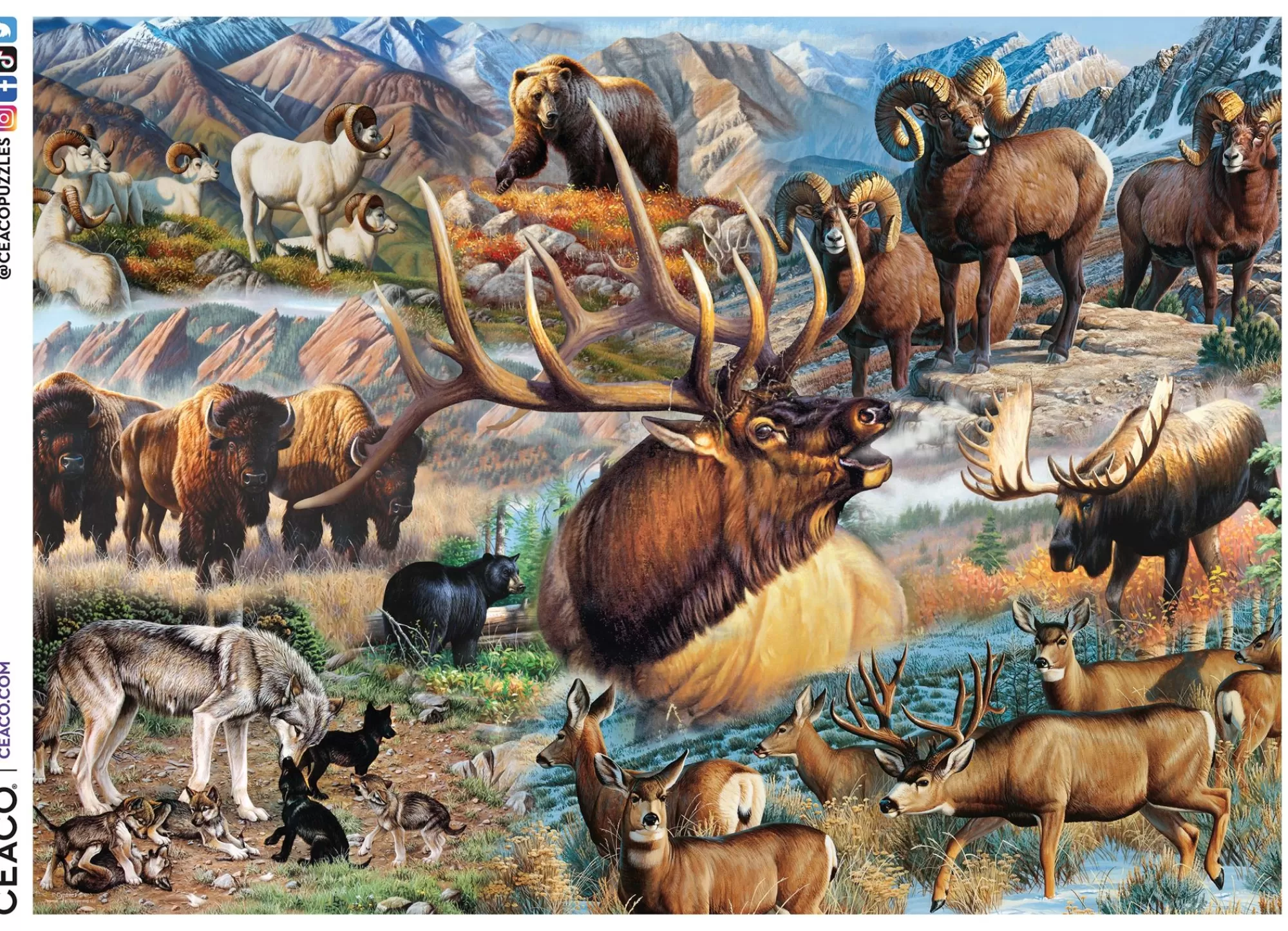 Ceaco Wild - America The Wild - 1000 Piece Puzzle* Animal Puzzles