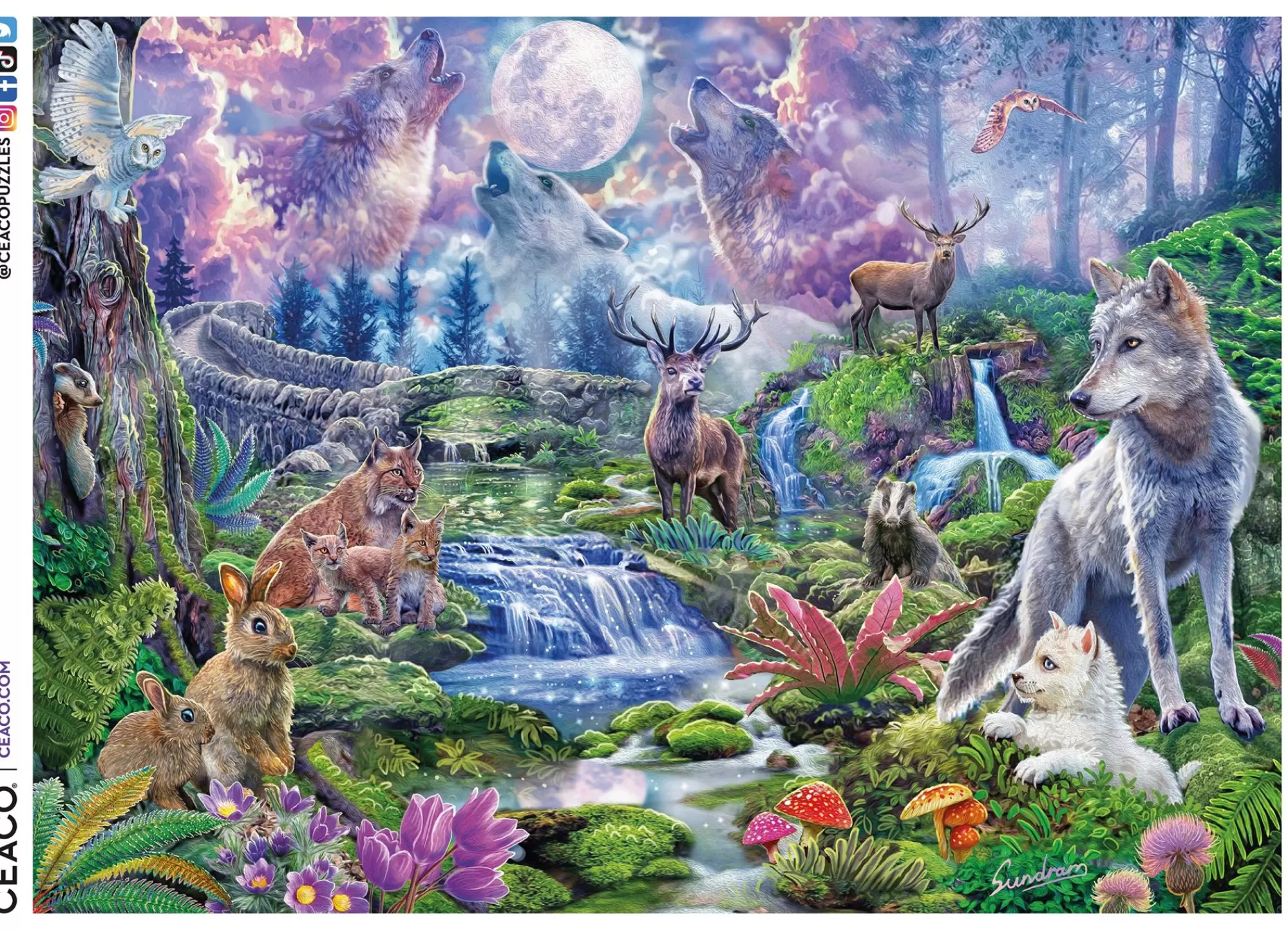 Ceaco Wild - Moonlit Wolves - 1000 Piece Puzzle* Animal Puzzles