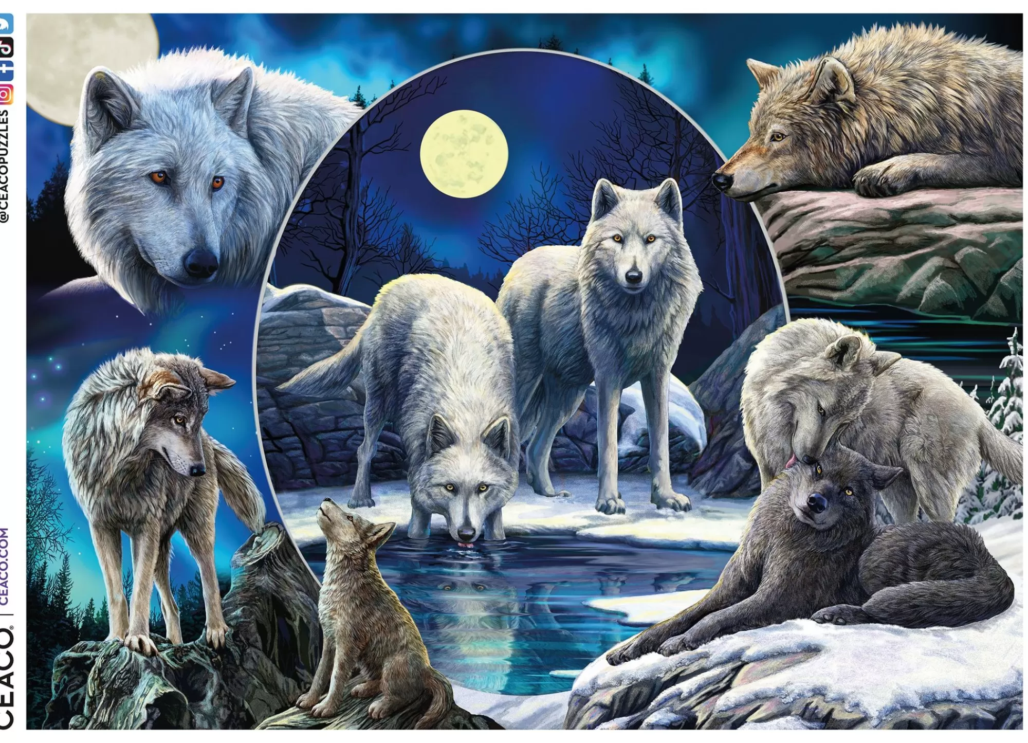 Ceaco Wild - Wild Wolves Collage - 1000 Piece Puzzle* Animal Puzzles